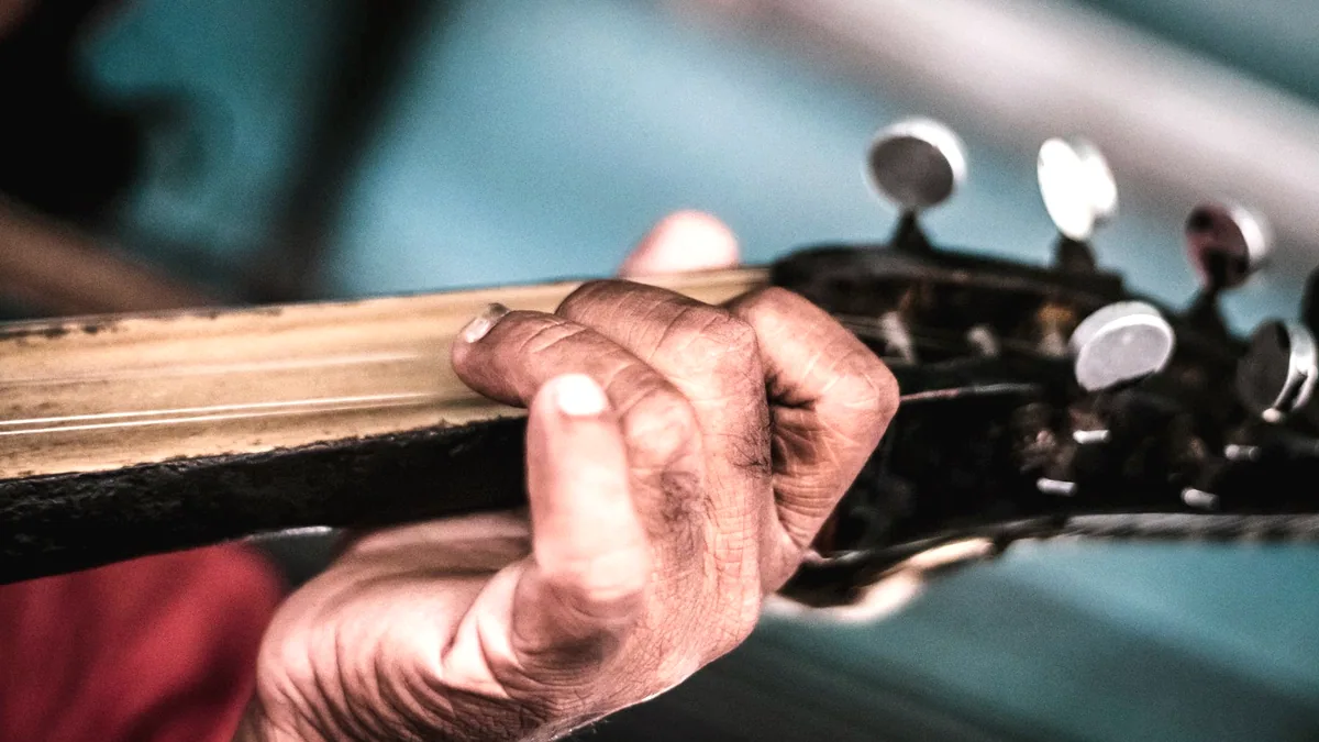 A hand on the neck of a plucked string instrument.